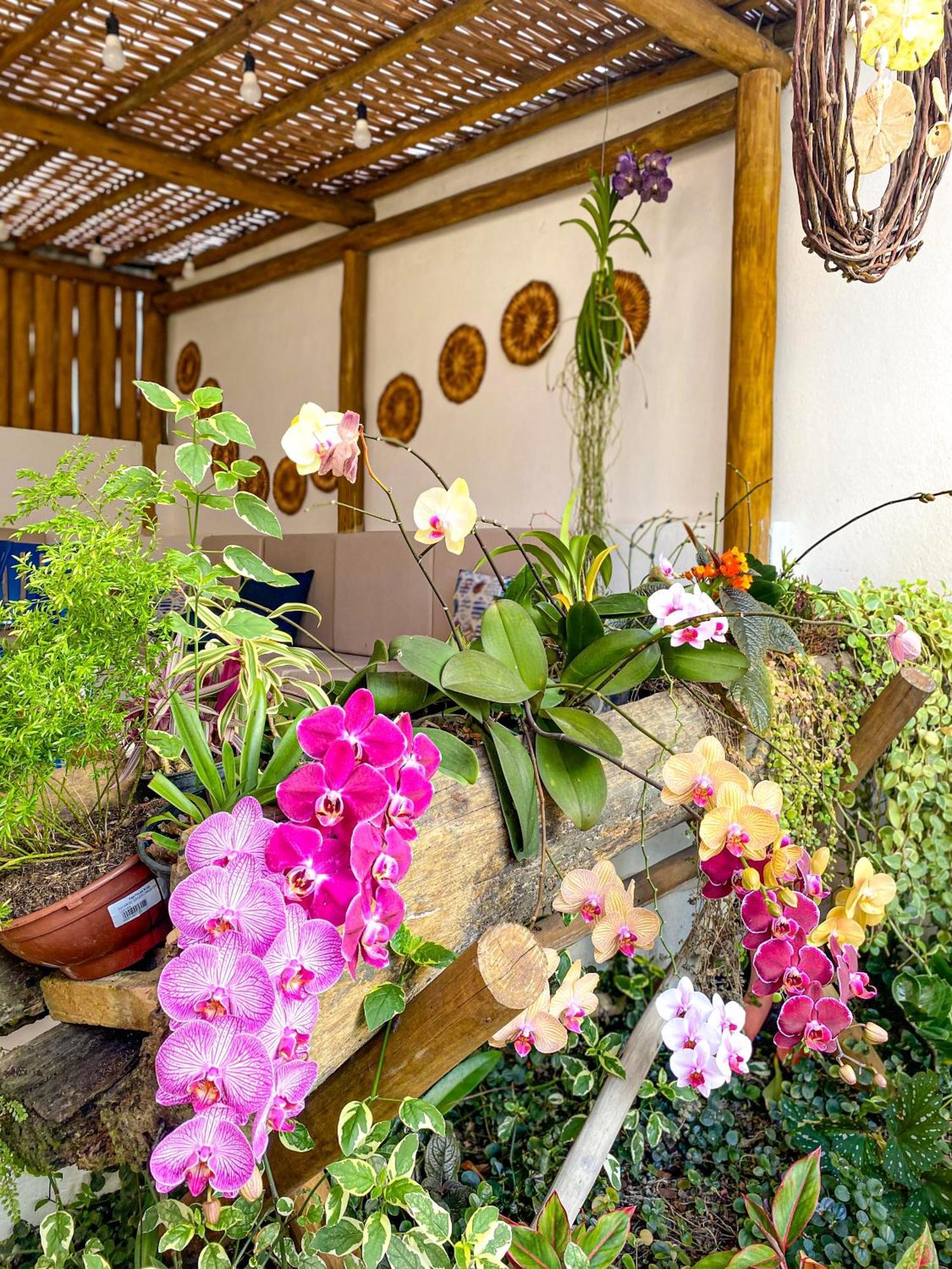Aldeia โกรุมเบา ภายนอก รูปภาพ
