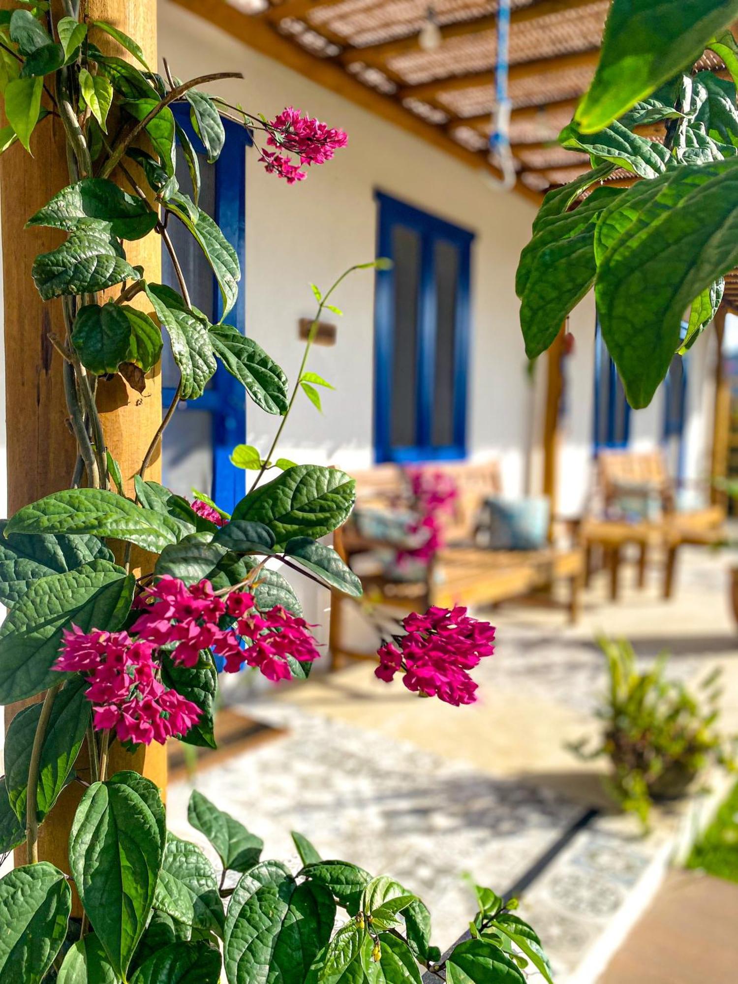 Aldeia โกรุมเบา ภายนอก รูปภาพ